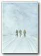winter run