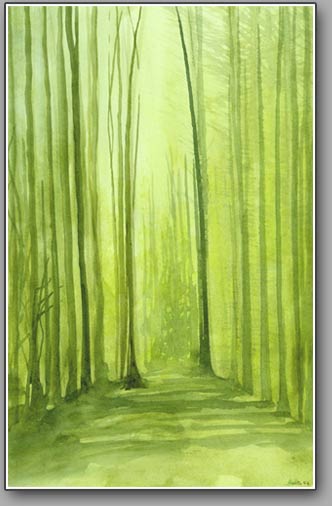 portree forest