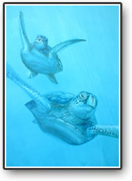 turtles