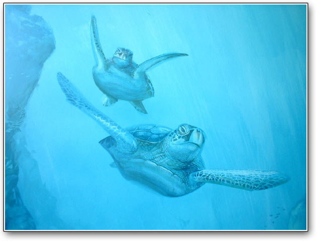 Turtles