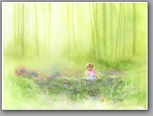 Daisy in the Bluebells